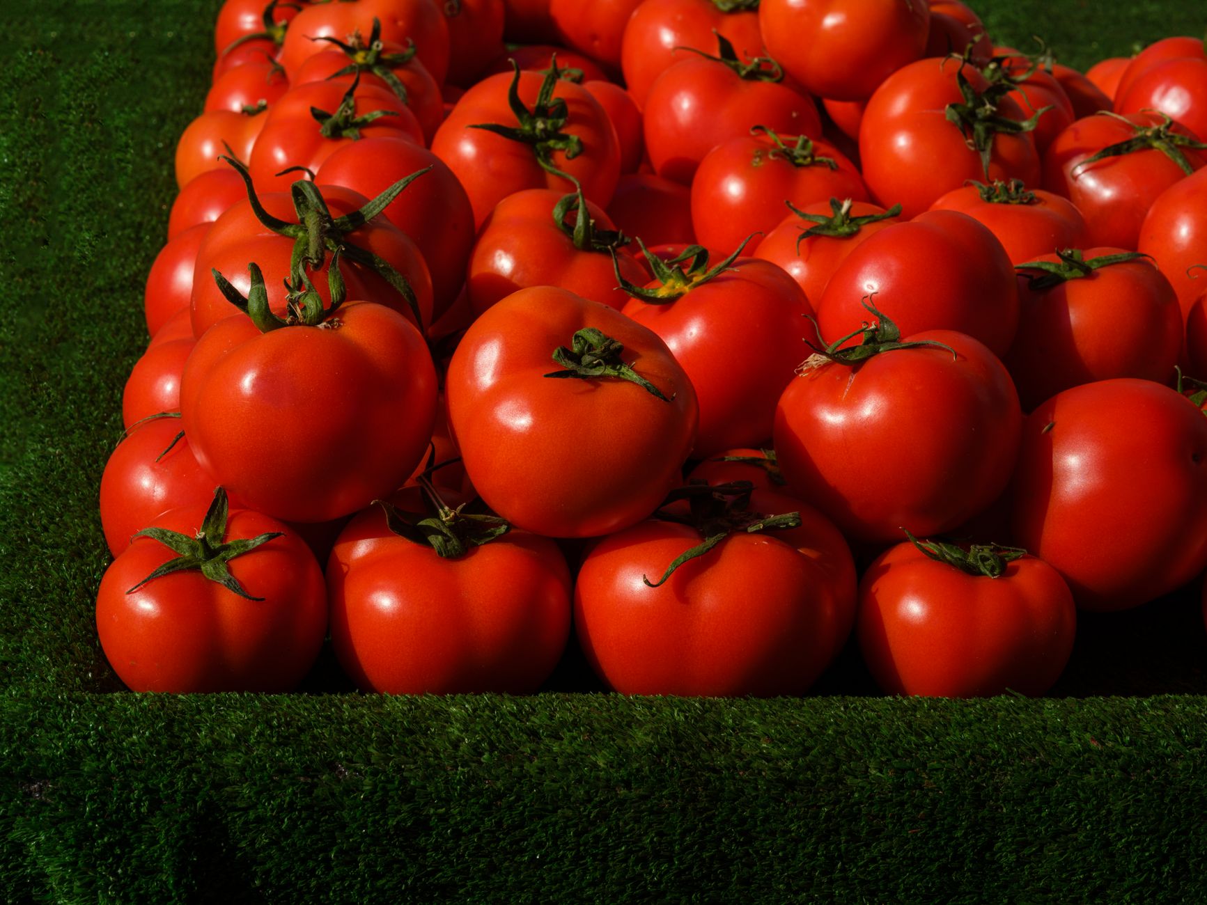 Paradicsompassata